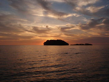 Tour de Snorkel Bahía Portobelo photo 2